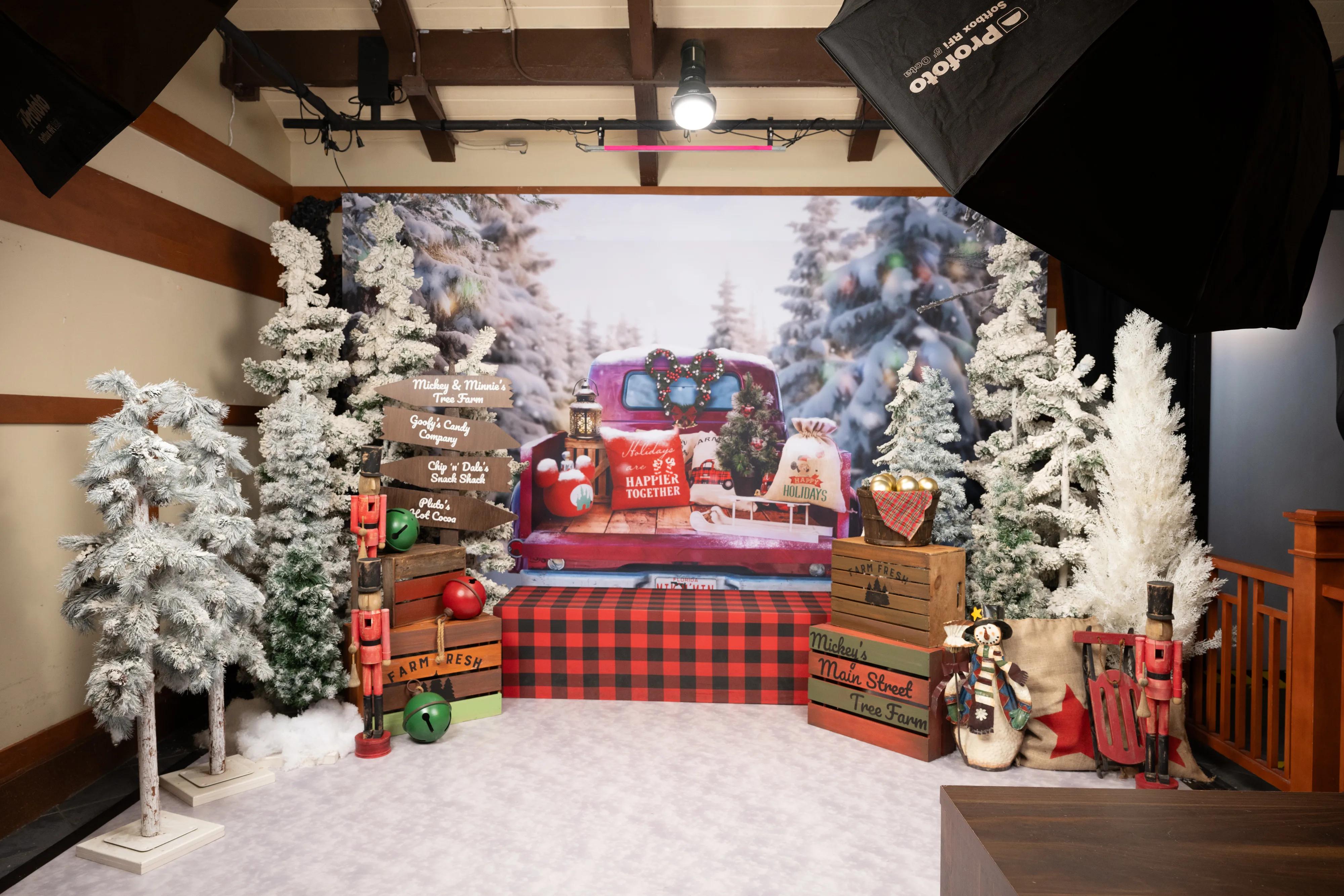 Disney Christmas backdrop 2
