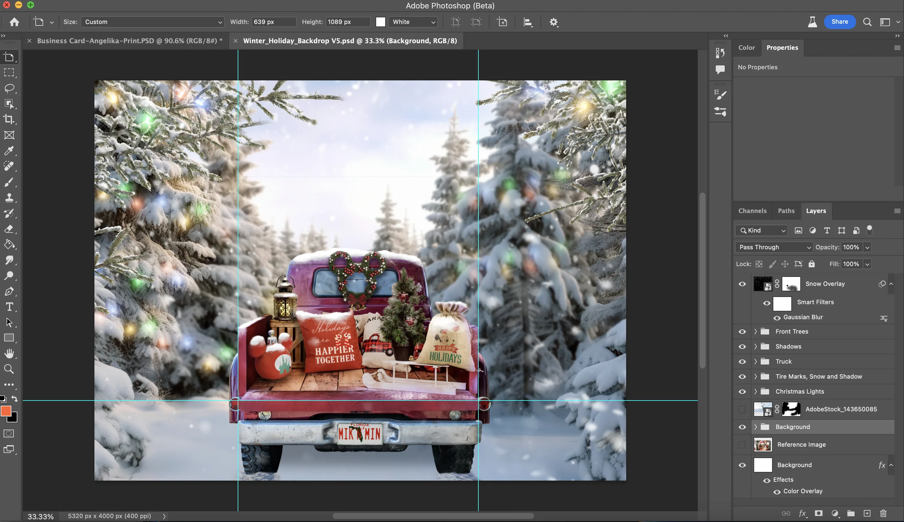 Disney Christmas backdrop